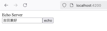 Echo Server