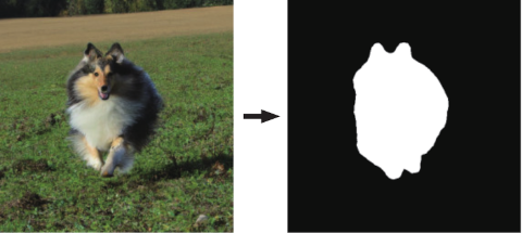 semantic dog image segmentation