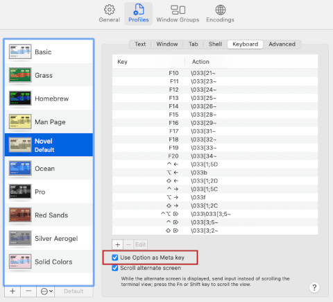 mac-terminal-use-option-as-meta-key